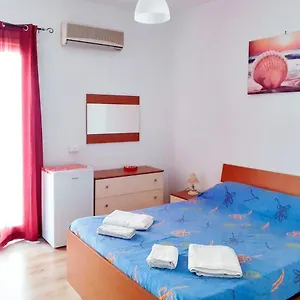 Flamingo , Castellammare del Golfo Italia